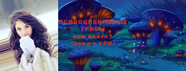 скорость Алексин