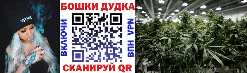 цены наркотик  Новозыбков  МАРИХУАНА THC 21% 